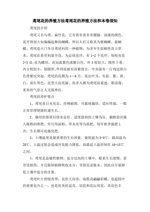 鸢尾花的养殖方法鸢尾花的养殖方法和注意事项