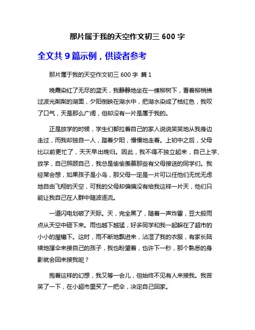那片属于我的天空作文初三600字