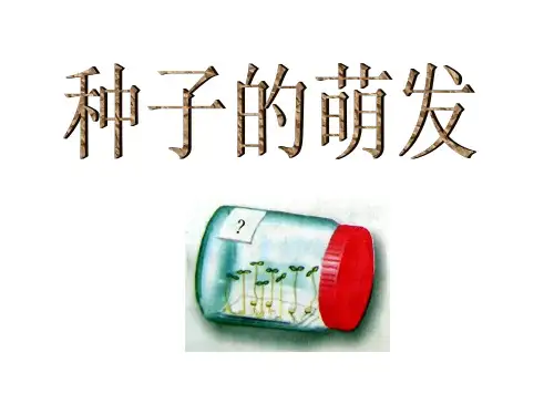 《种子的萌发》课件(1)(人教版生物)