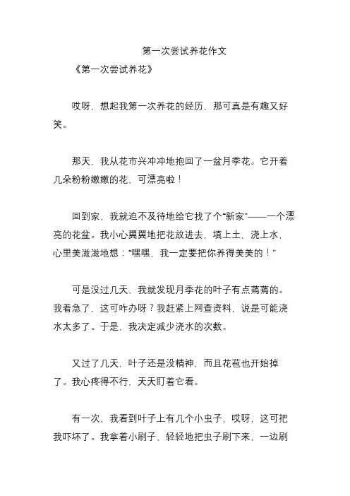第一次尝试养花作文