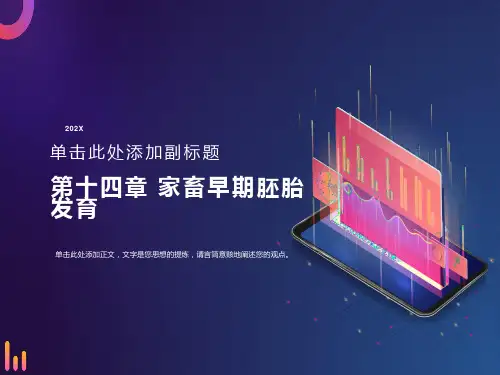 组织学与胚胎学第十四章家畜早期胚胎发育