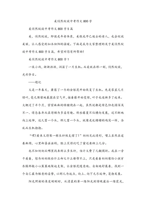 美悄然绽放中考作文800字