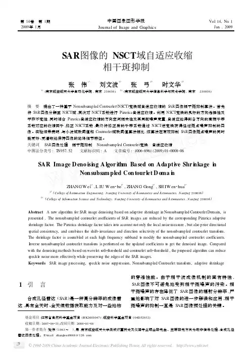 SAR图像的NSCT域自适应收缩相干斑抑制
