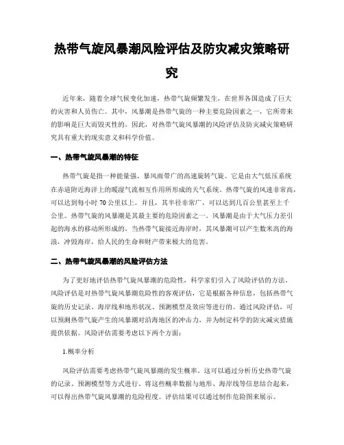 热带气旋风暴潮风险评估及防灾减灾策略研究