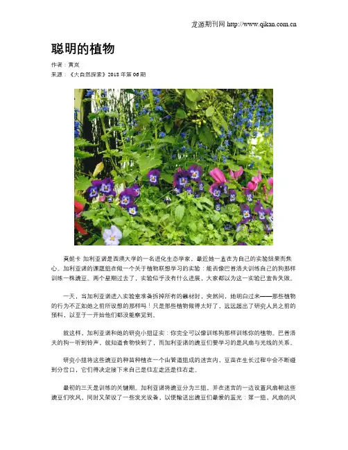 聪明的植物
