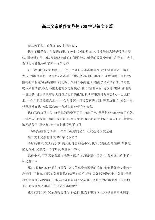 高二父亲的作文范例800字记叙文5篇