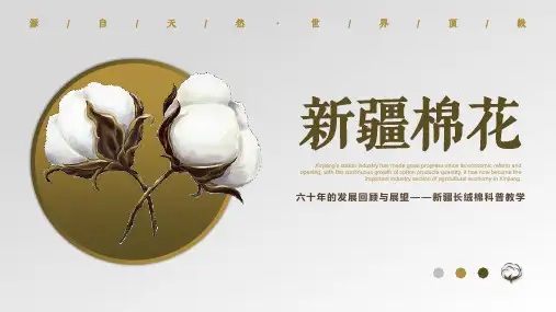 新疆棉花科普教学课件