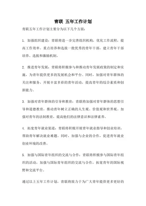 青联 五年工作计划