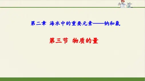 《第三节 物质的量》课件(两套)