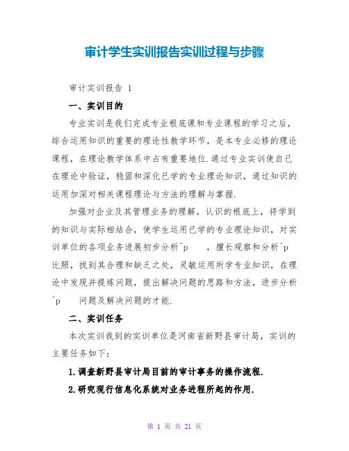 审计学生实训报告实训过程与步骤