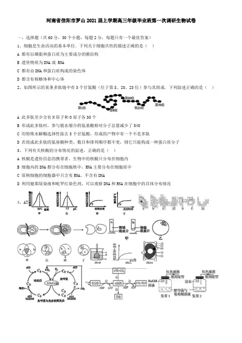 河南省信阳市罗山2021届上学期高三年级毕业班第一次调研生物试卷