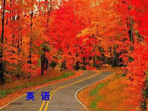 中考英语总复习 第2部分 语法突破 专题7 形容词和副词精讲课件