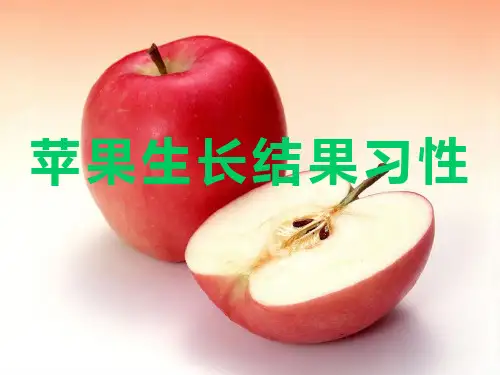二-、苹果生长结果习性资料