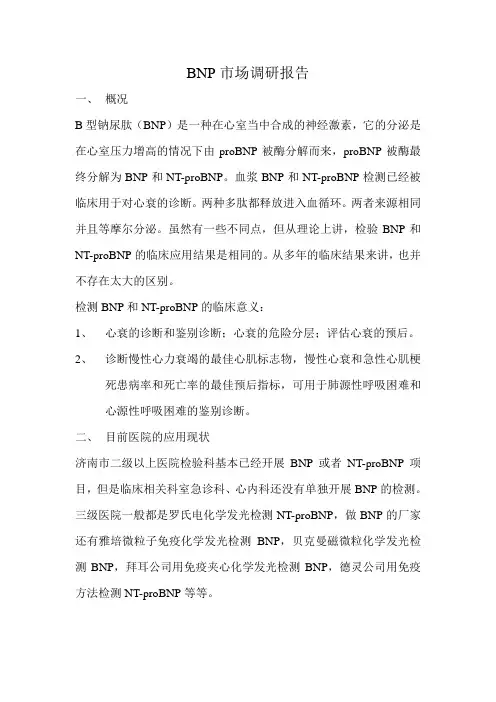 BNP市场调研报告