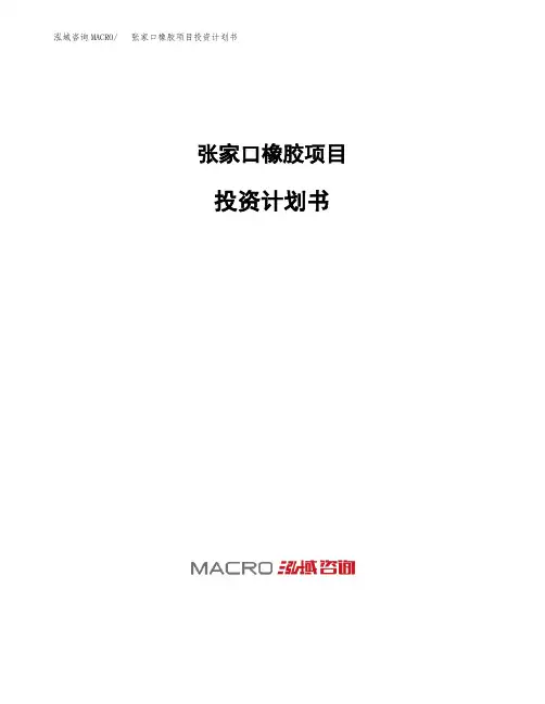 张家口橡胶项目投资计划书