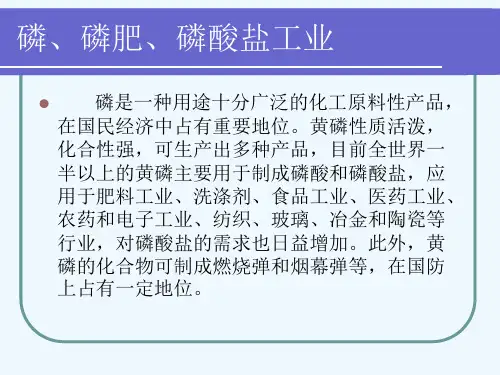 磷酸盐生产工艺概述(ppt 24页)