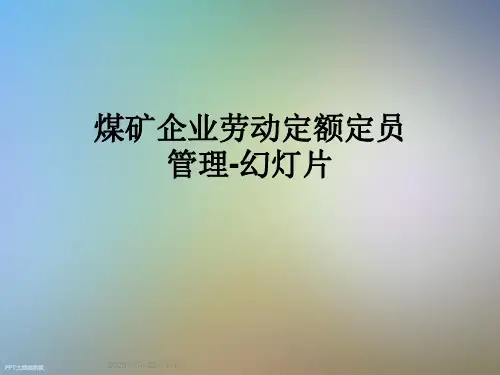 煤矿企业劳动定额定员管理-幻灯片