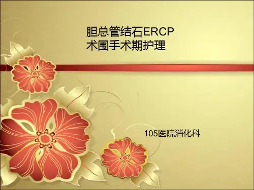 胆总管结石术围手术期护理PPT课件