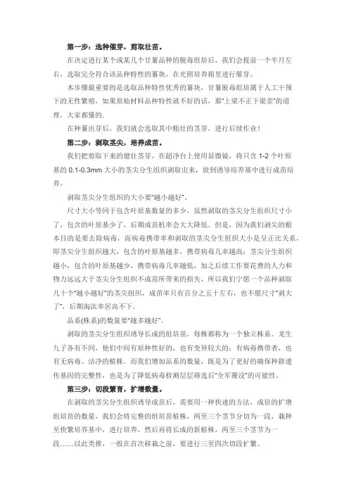 地瓜脱毒苗的生产流程