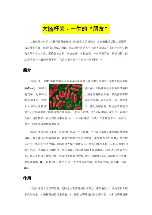 大肠杆菌