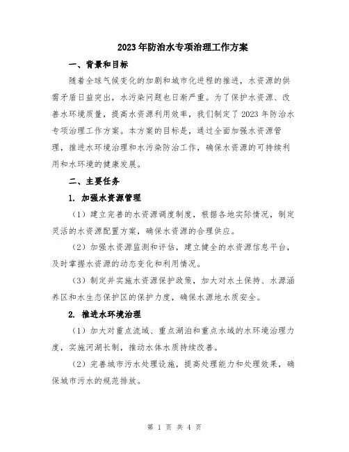 2023年防治水专项治理工作方案