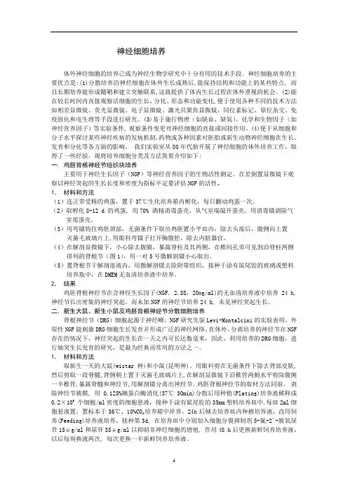 原代神经细胞培养方法解析