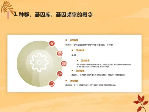 基因频率的计算