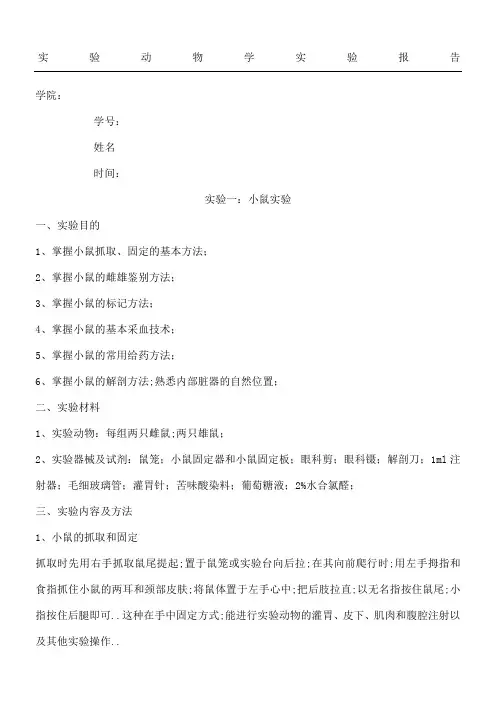 动物实验报告