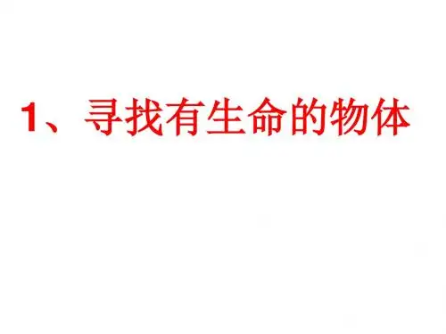 寻找有生命的物体