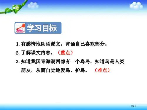 鸟岛教学课件市公开课一等奖省优质课获奖课件.pptx