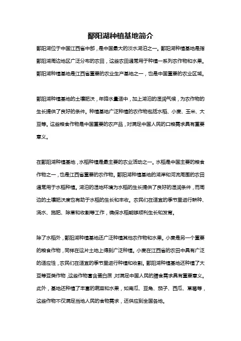 鄱阳湖种植基地简介