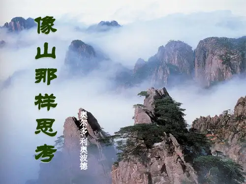 《像山那样思考》ppt