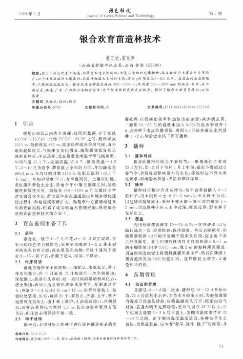 银合欢育苗造林技术