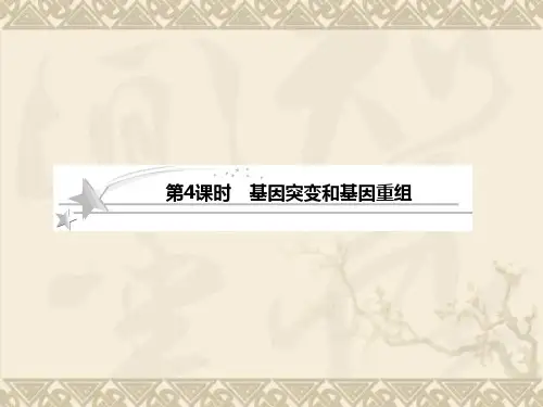 高考生物苏教版二轮复习课件2-3-4