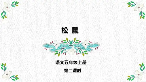 部编版语文五年级上册《17 松鼠》第二课时课件