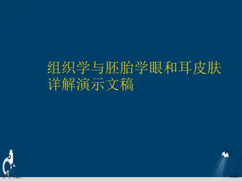 组织学与胚胎学眼和耳皮肤详解演示文稿