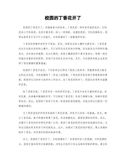 校园的丁香花开了