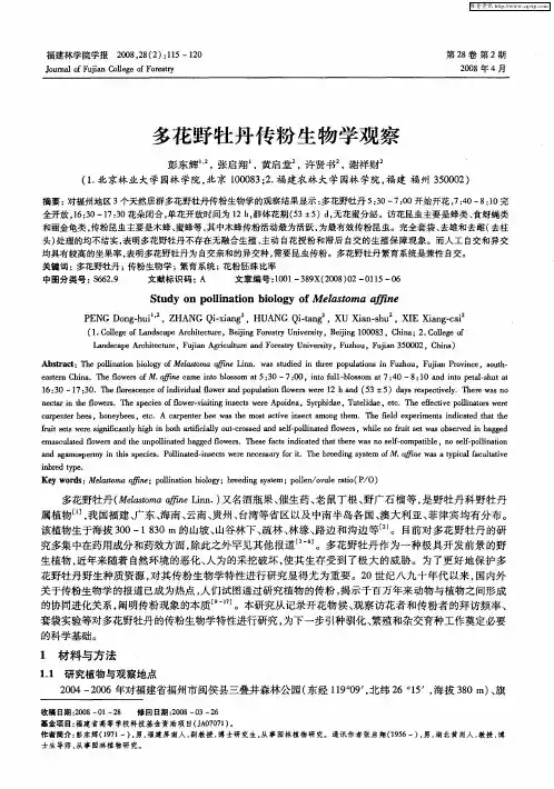多花野牡丹传粉生物学观察