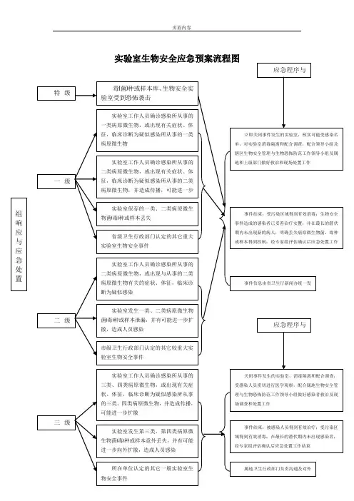 实验室生物安全应急预案流程图