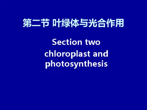 第六章细胞的能量转换：线粒体和叶绿体(1)