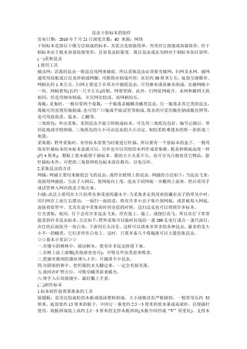 昆虫干制标本的制作