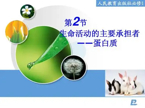 人教版高一生物必修一 第2章第2节生命活动的主要承担着—蛋白质  PPT课件