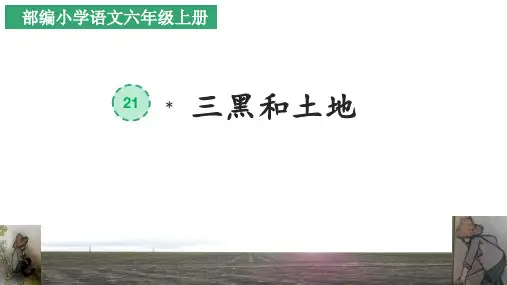 部编版六年级语文上册21三黑和土地课件(25张PPT)