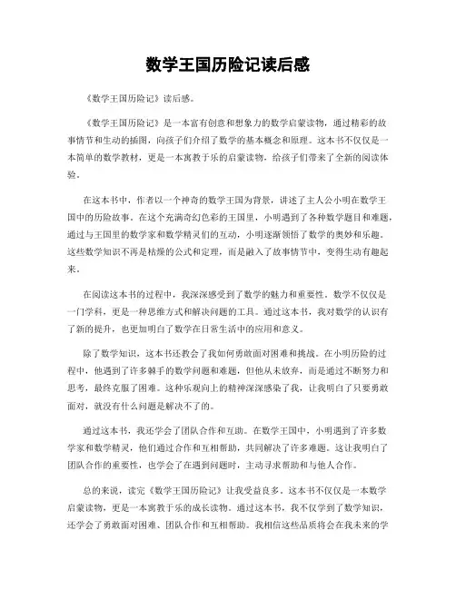 数学王国历险记读后感