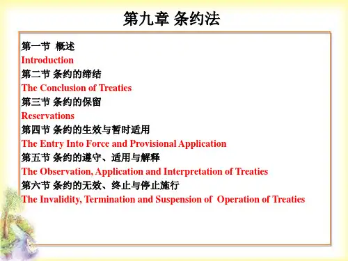 国际法第九章