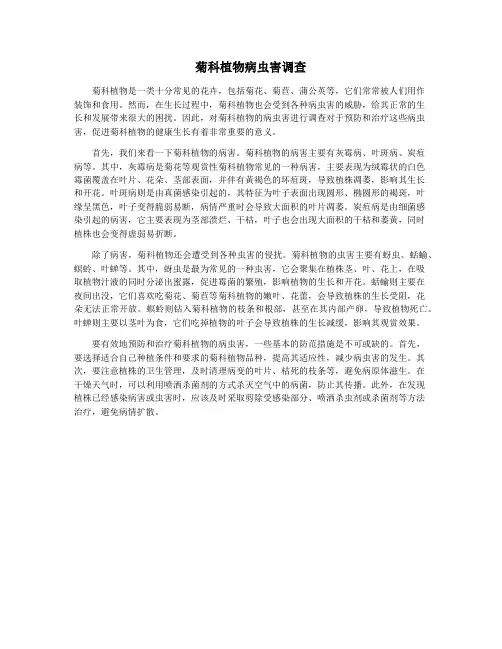 菊科植物病虫害调查