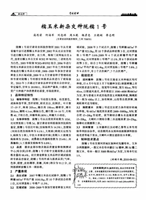 糯玉米新杂交种陇糯1号