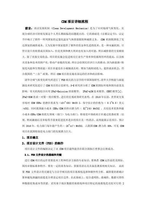CDM项目详细流程