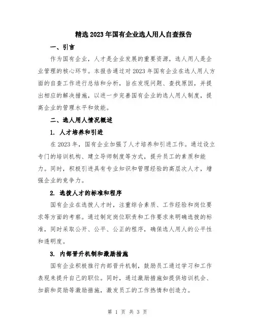 精选2023年国有企业选人用人自查报告