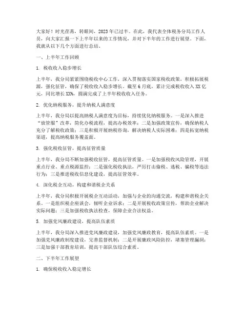 年中税务分局总结发言稿